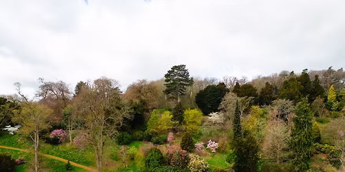 Woodland Walks with David Crossland