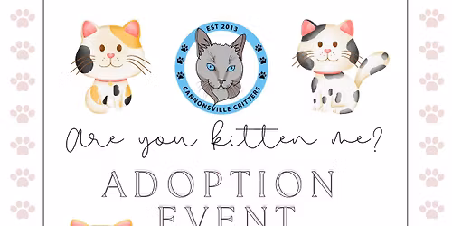 Are You Kitten Me?! Adoption Event
