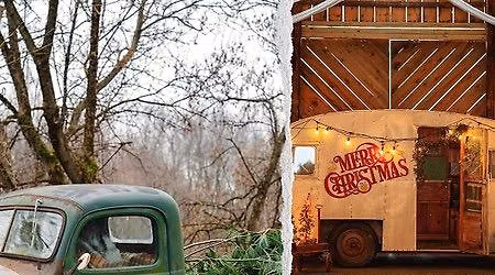 Christmas mini session 