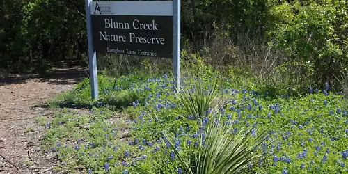 Blunn Creek Walk (+Travis Heights Art Trail)