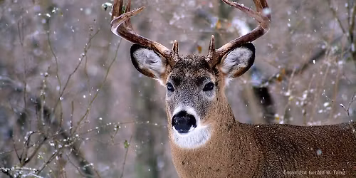 Wild River MDHA Holiday Party & Member Appreciation