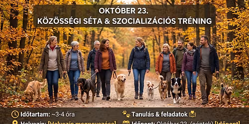 Okt\u00f3beri Falka S\u00e9ta \u00e9s szocializ\u00e1ci\u00f3s tr\u00e9ning
