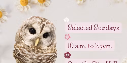 Community Table @ Schenectady Greenmarket (Outdoors)