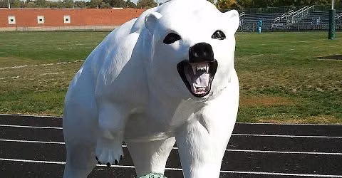 2026 Polar Bear Open