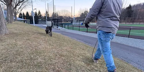 8 Week Tracking & Scent Work Group Class