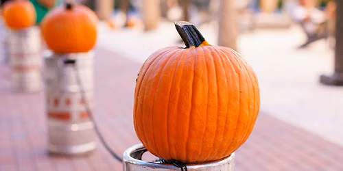 Pumpkin Patch & Fall Fun Fest