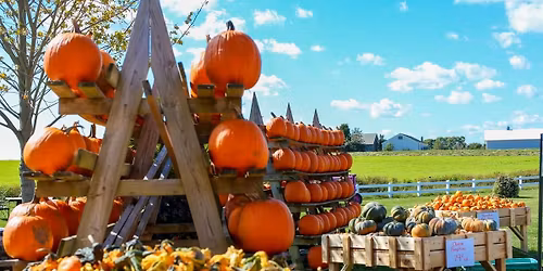 2026 The Open Championship - Thursday at Royal Birkdale Golf Club