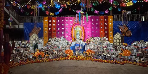 Corpus Christi Dia de los Muertos Festival 2026