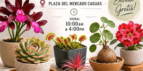 CAGUAS Llega el Jardin Ambulante 