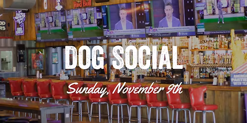 Dog Social