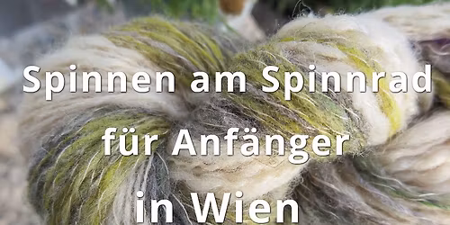 Spinnen f\u00fcr Anf\u00e4nger im Woll Habitat