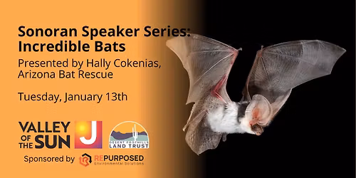Sonoran Speaker Series: Incredible Bats