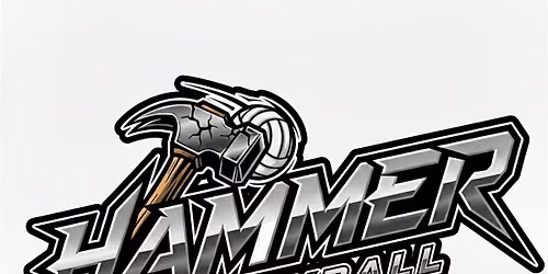 Hammer Volleyball