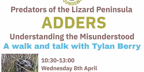 Adders - a talk and walk