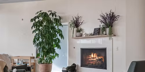 Empowered Peace: A Day of Deep Healing and Connection