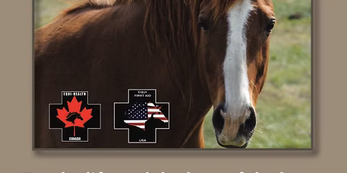 Advanced Equine Emergency First Aid - Arvada,CO