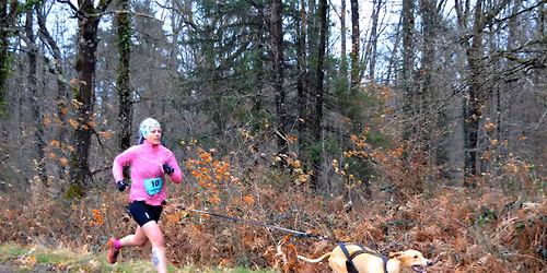 D\u00e9couverte Canicross by Thule 