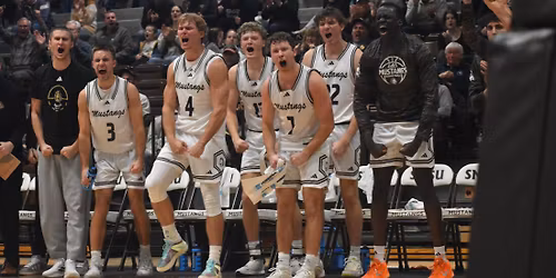 Southwest Minnesota State Mustangs vs. Minnesota Duluth Bulldogs