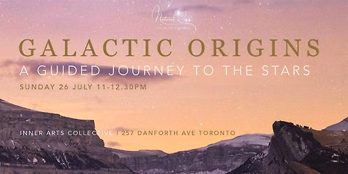 Galactic Origins: A Guided Journey to the Stars