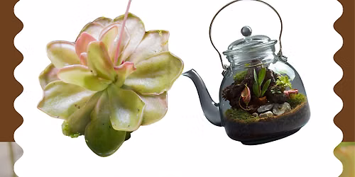 Moss & Mocktails
