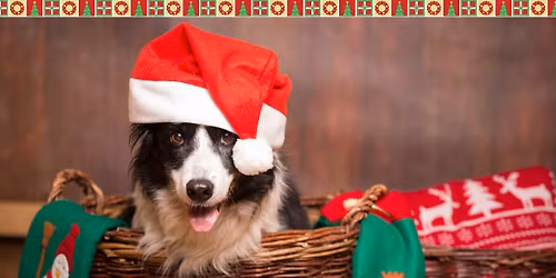 Santa Paws at House of Marbles