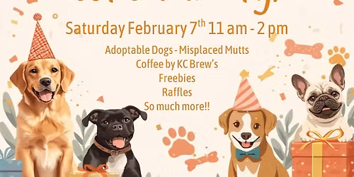 K9 Corner Turns One: A Tail-Wagging Celebration