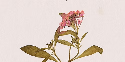 8 mars med Kvinnofolkh\u00f6gskolans st\u00f6df\u00f6rening