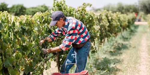 After Work: Italia og Aperitivo