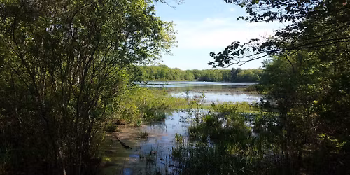 Hound & Beagle Trail Walk