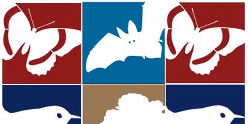 25 Years of Community Woodland Management in a Suburban Housing Estate - Nick Sibbet