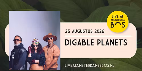 Digable Planets - Live At Amsterdamse Bos