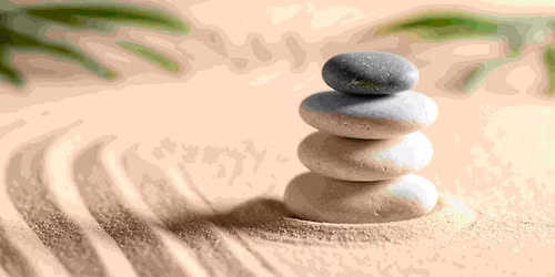 Afternoon Zen Garden Workshop (Adults)