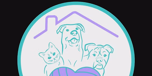 Balls for Paws-Coed 6s Tournament 