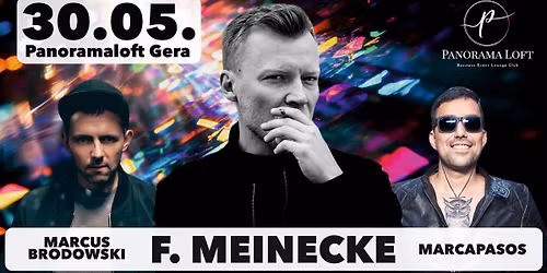 F.Meinecke Live on Sage in Gera