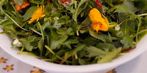 End of Season Wrap Party \ud83c\udf89