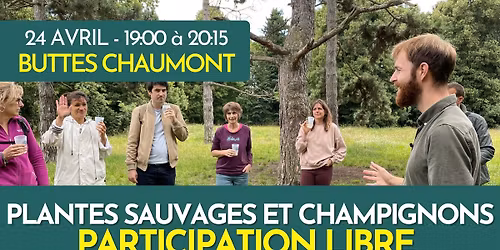 BALADE PLANTES SAUVAGES EN PARTICIPATION LIBRE - PARIS