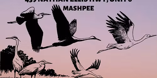 Breathwork, Balance, and Flexibility 