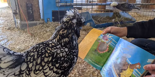 Farmyard Storytime