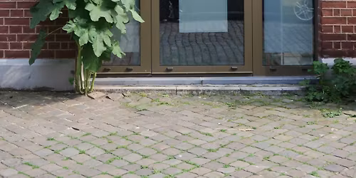 Ouverture des f\u00eates