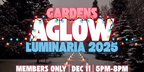 First Light: Members' Night