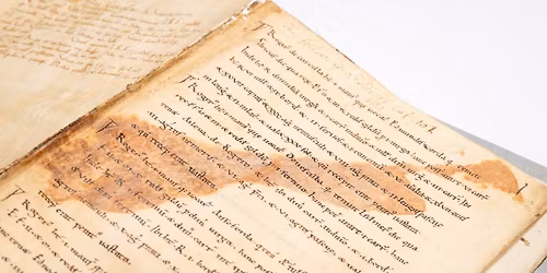 2025 Annual Library Lecture: The secrets and silences of Exon Domesday