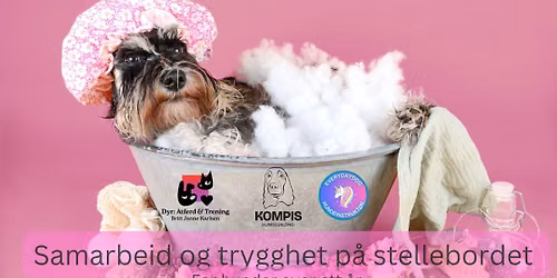 Samarbeid og trygghet p\u00e5 stellebordet - for hunder over ett \u00e5r 