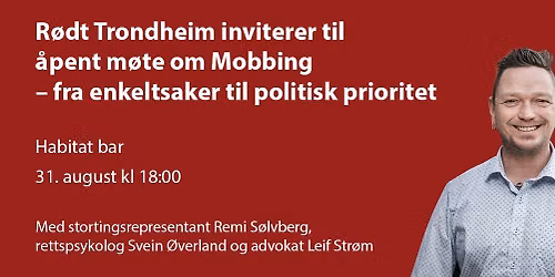 Mobbing - Fra enkeltsaker til politisk prioritet