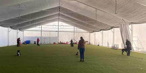 Trening Grupowy KO w Caniversum - 20 grudnia