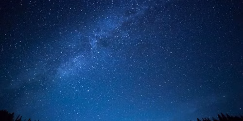 Mangrove School Summer Under the Stars For Teens