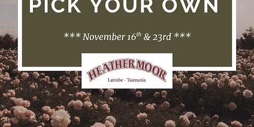 2025 Peony Pick Your Own