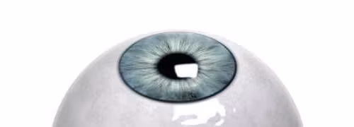 MDSVP @ CAF&DISKAIRE