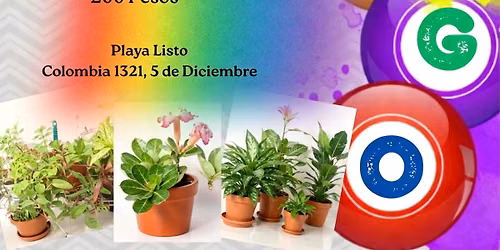 Plant Bingo!