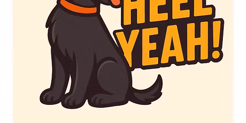 A Night With A Dog Trainer