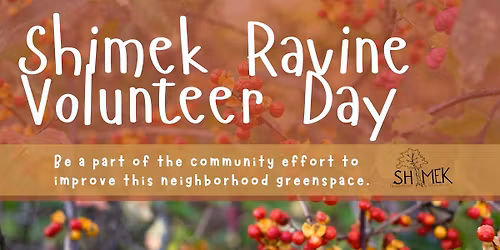 Shimek Ravine Volunteer Day- Invasive Species Removal